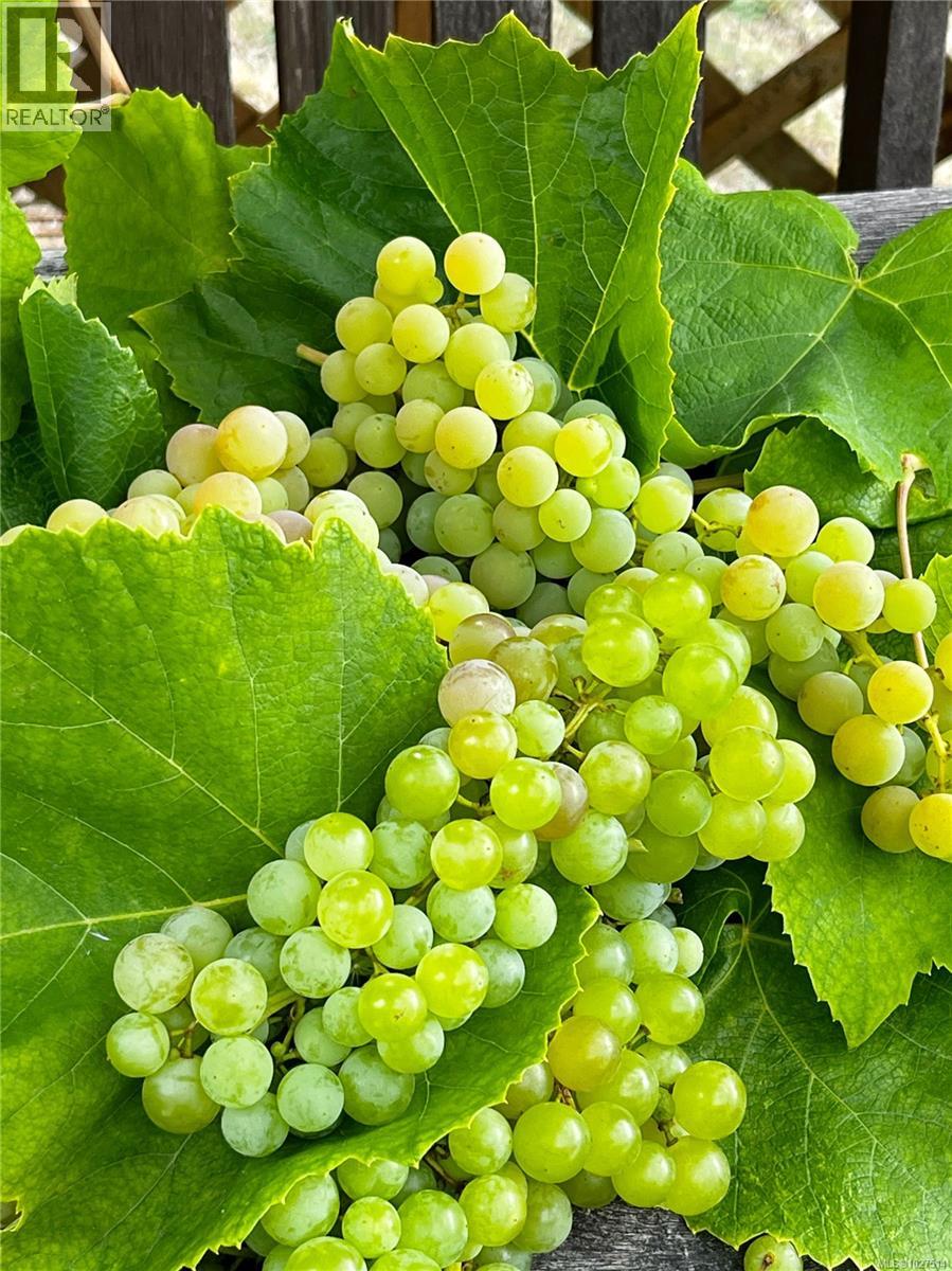 755 Kit Cres, Campbell River, British Columbia  V9H 1P6 - Photo 36 - 1027514