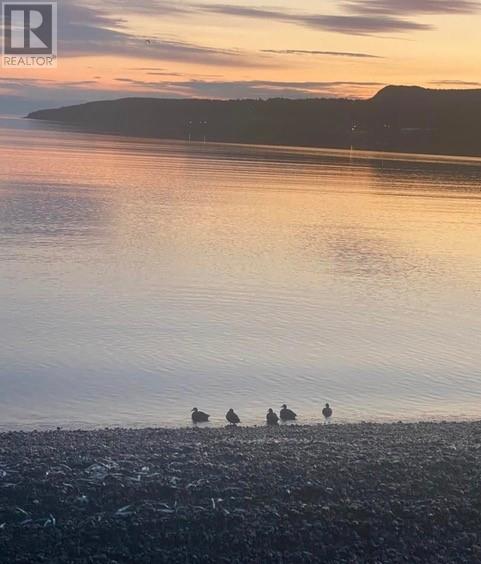 27-29 Conception Bay Highway, Clarkes Beach, Newfoundland & Labrador  A0A 1W0 - Photo 24 - 1295025