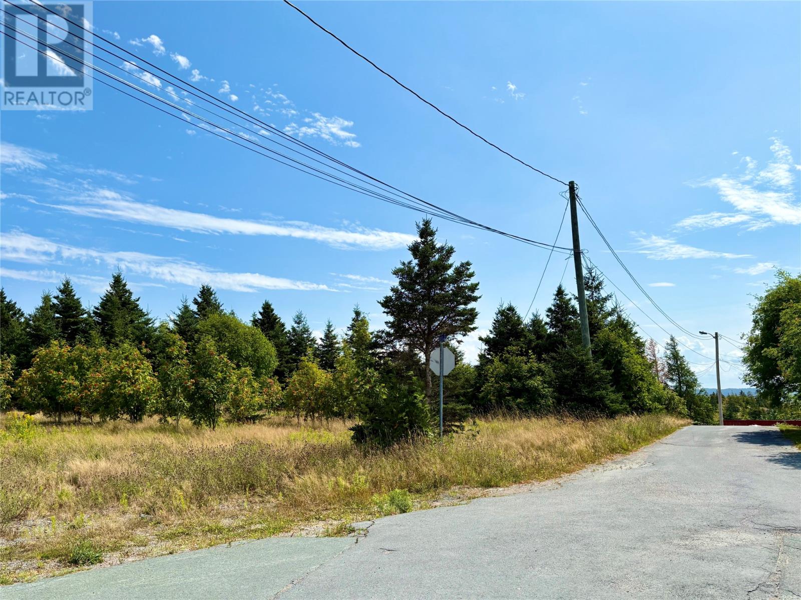 792 Water Street, Bay Roberts, Newfoundland & Labrador  A0A 1G0 - Photo 1 - 1295007