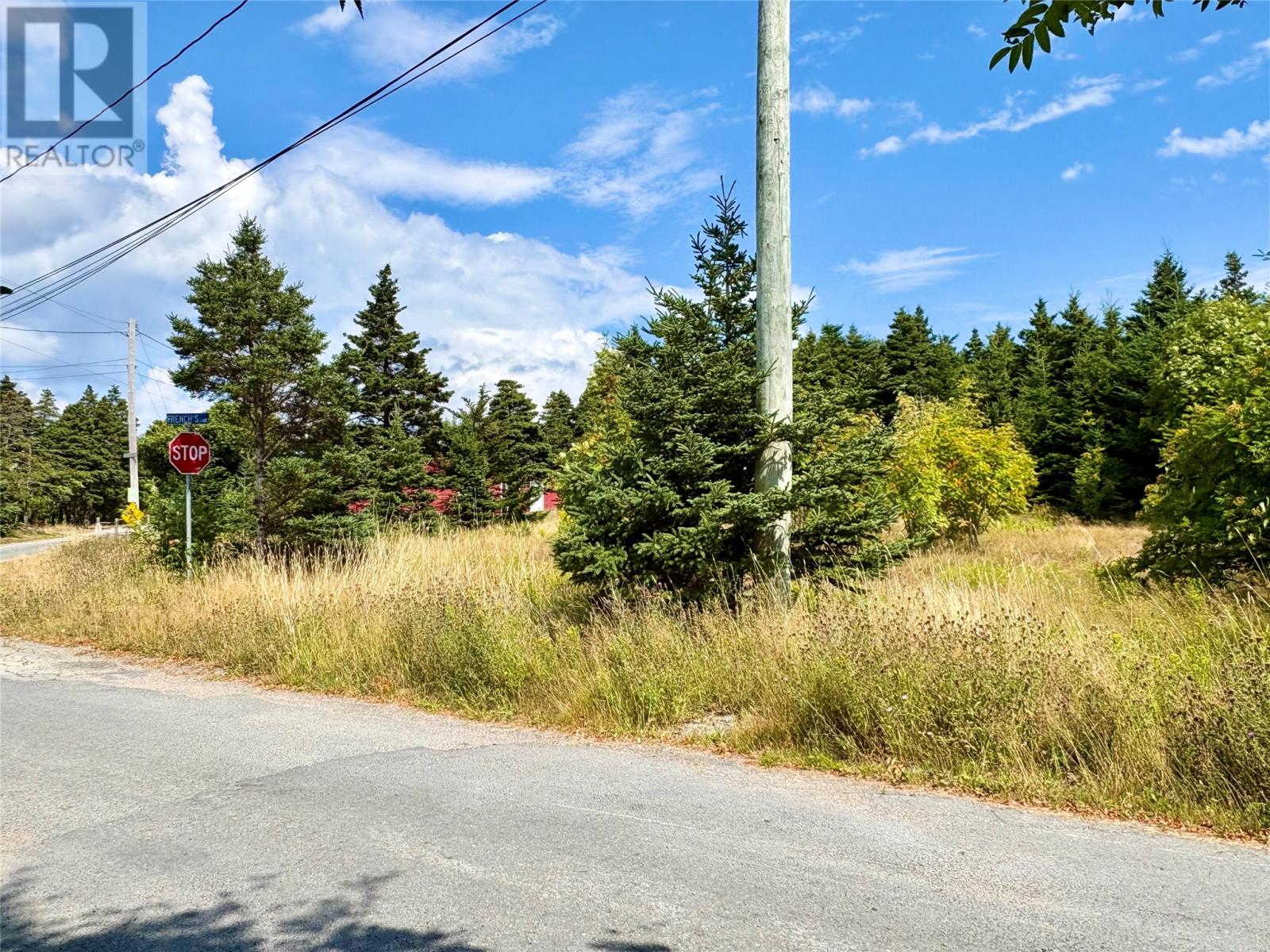 792 Water Street, Bay Roberts, Newfoundland & Labrador  A0A 1G0 - Photo 2 - 1295007