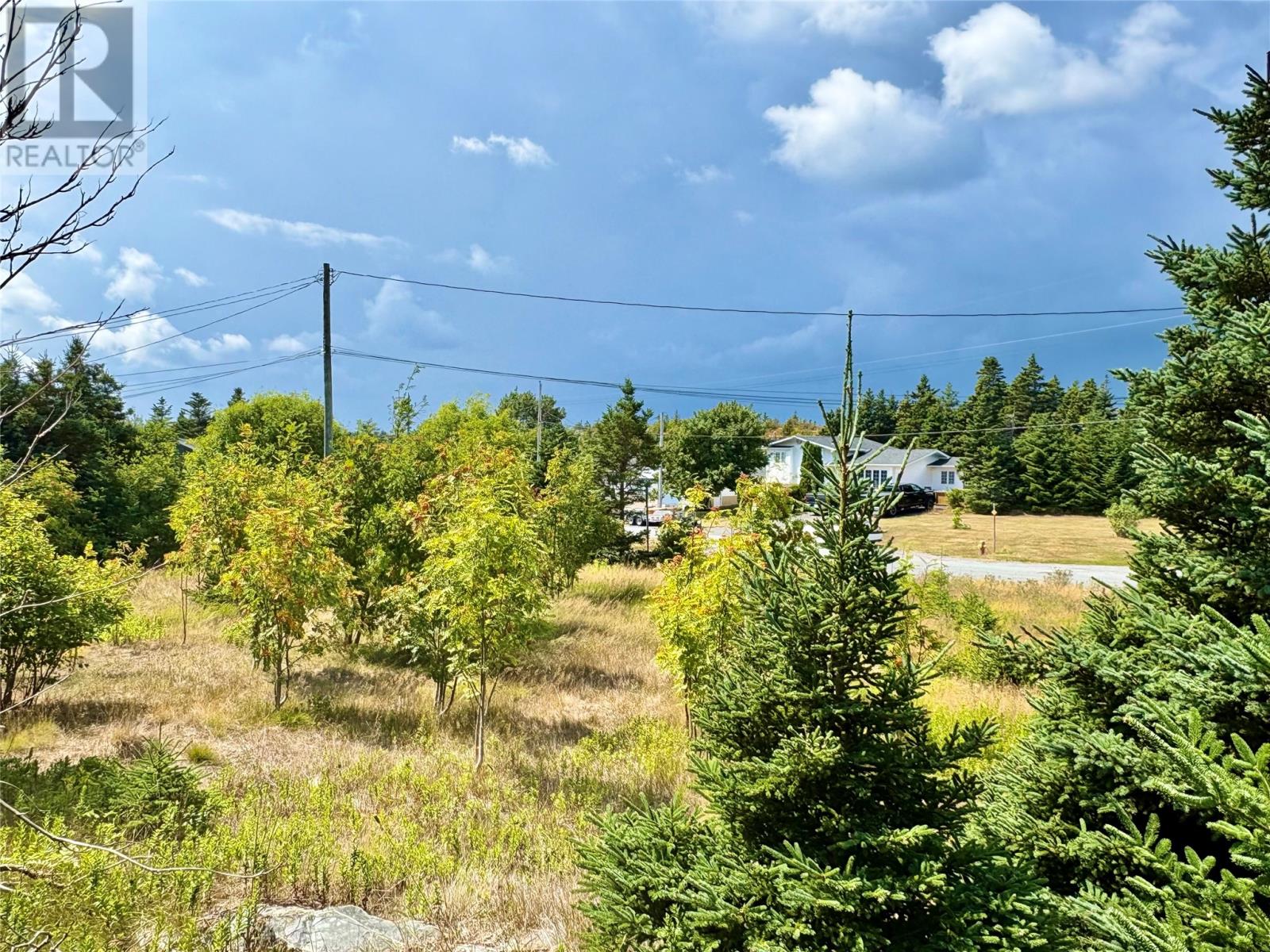 792 Water Street, Bay Roberts, Newfoundland & Labrador  A0A 1G0 - Photo 3 - 1295007