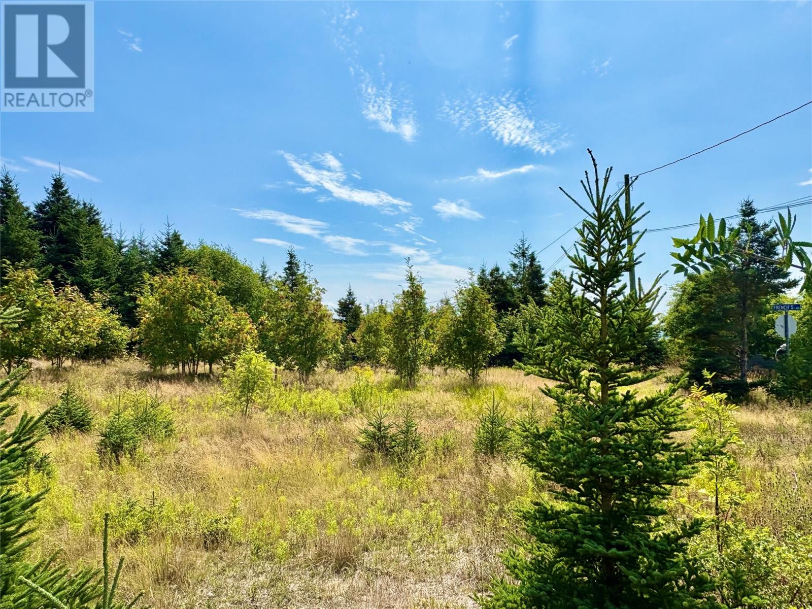 792 Water Street, Bay Roberts, Newfoundland & Labrador  A0A 1G0 - Photo 4 - 1295007