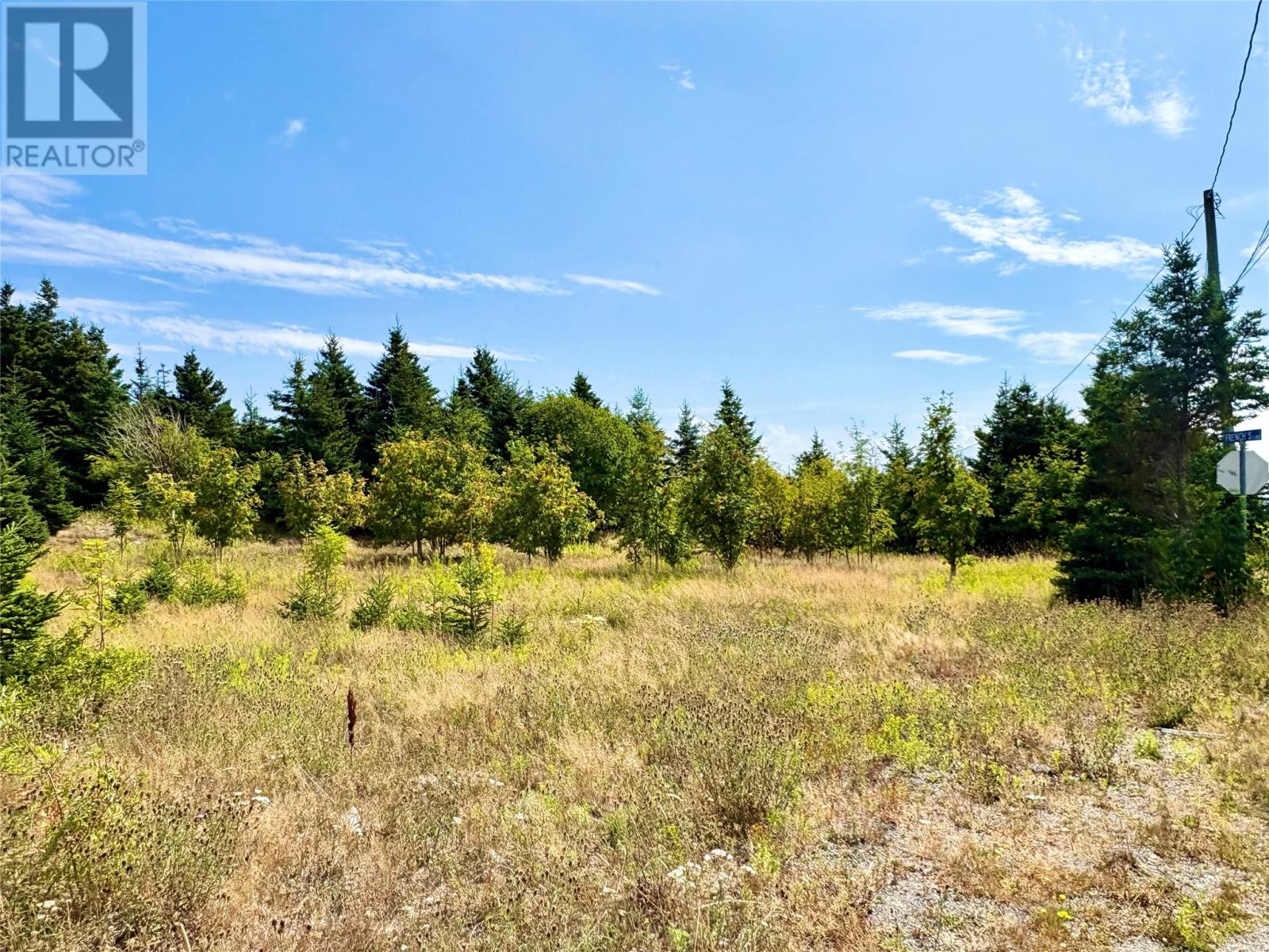 792 Water Street, Bay Roberts, Newfoundland & Labrador  A0A 1G0 - Photo 5 - 1295007