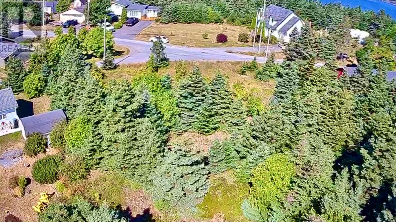 792 Water Street, Bay Roberts, Newfoundland & Labrador  A0A 1G0 - Photo 7 - 1295007