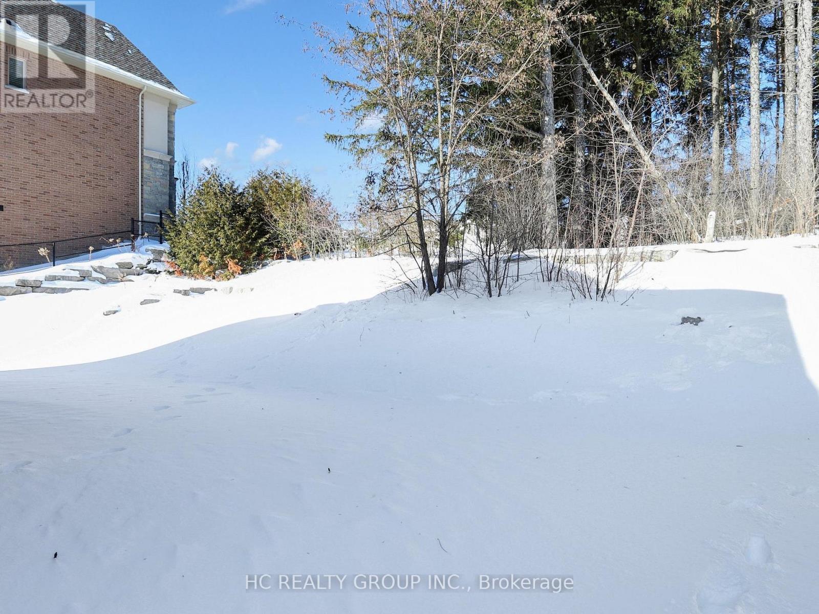 99 Coon's Road, Richmond Hill, Ontario  L4E 2R4 - Photo 38 - N12854900