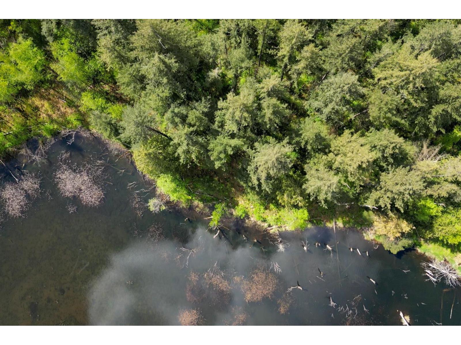 1724 Lougheed Highway, Mt Woodside, Mt Woodside, British Columbia  V0M 1A1 - Photo 14 - R3096240