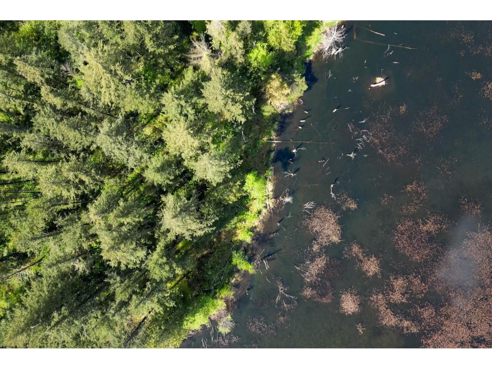 1724 Lougheed Highway, Mt Woodside, Mt Woodside, British Columbia  V0M 1A1 - Photo 2 - R3096240