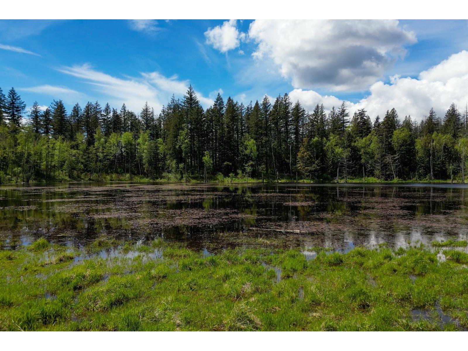 1724 Lougheed Highway, Mt Woodside, Mt Woodside, British Columbia  V0M 1A1 - Photo 13 - R3096240