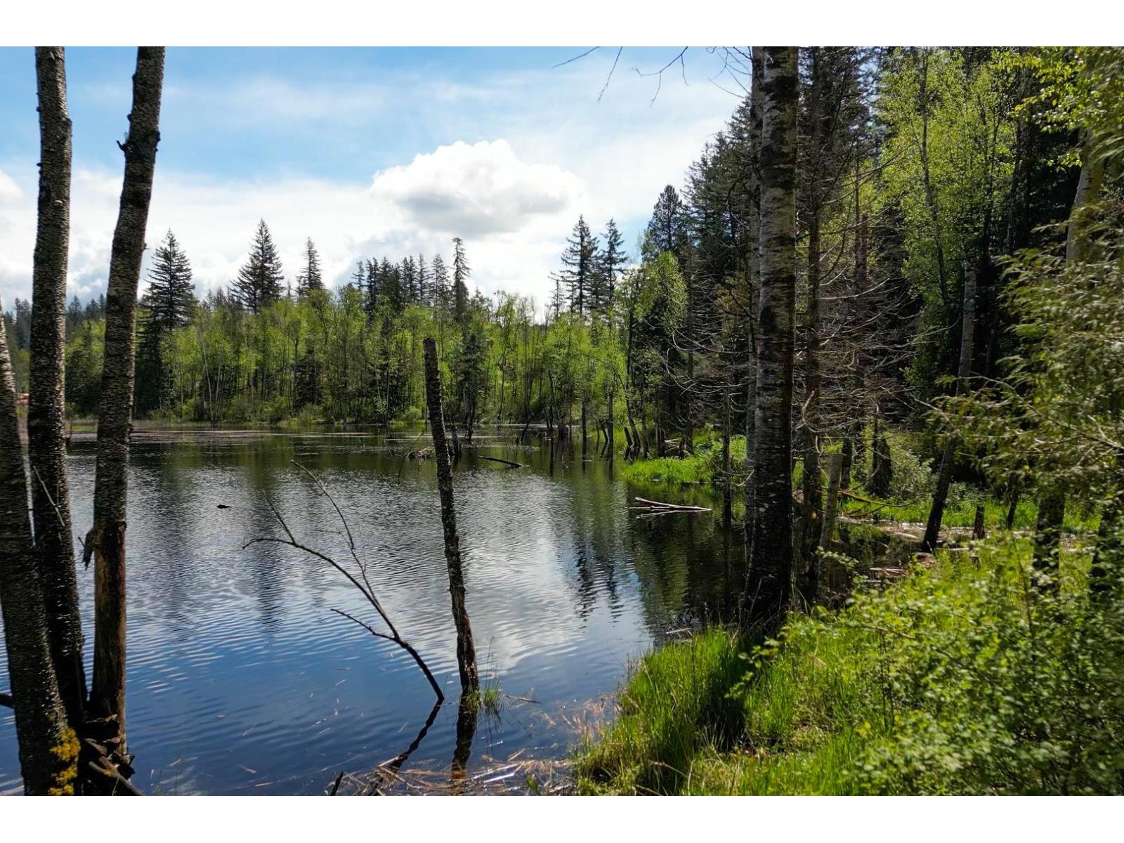 1724 Lougheed Highway, Mt Woodside, Mt Woodside, British Columbia  V0M 1A1 - Photo 12 - R3096240