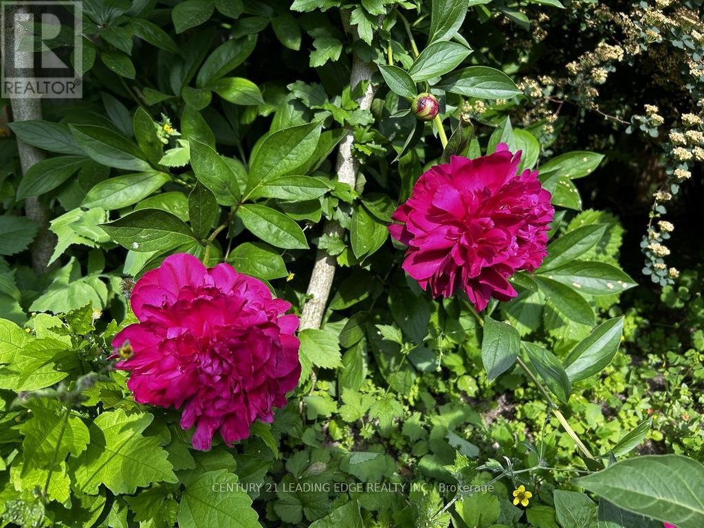 10 Empson Court, Ajax (South West), Ontario  L1S 3Y3 - Photo 47 - E12853604