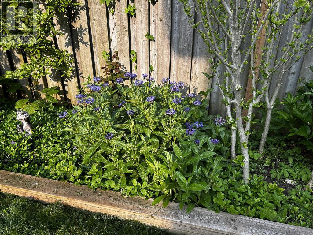 10 Empson Court, Ajax (South West), Ontario  L1S 3Y3 - Photo 45 - E12853604