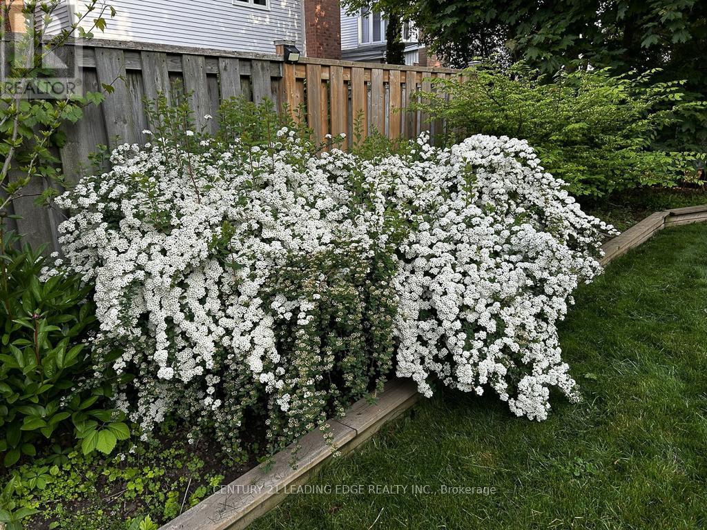 10 Empson Court, Ajax (South West), Ontario  L1S 3Y3 - Photo 44 - E12853604