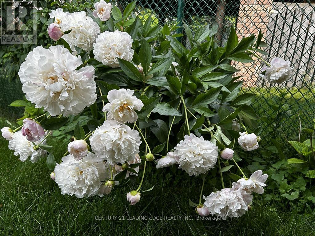 10 Empson Court, Ajax (South West), Ontario  L1S 3Y3 - Photo 48 - E12853604