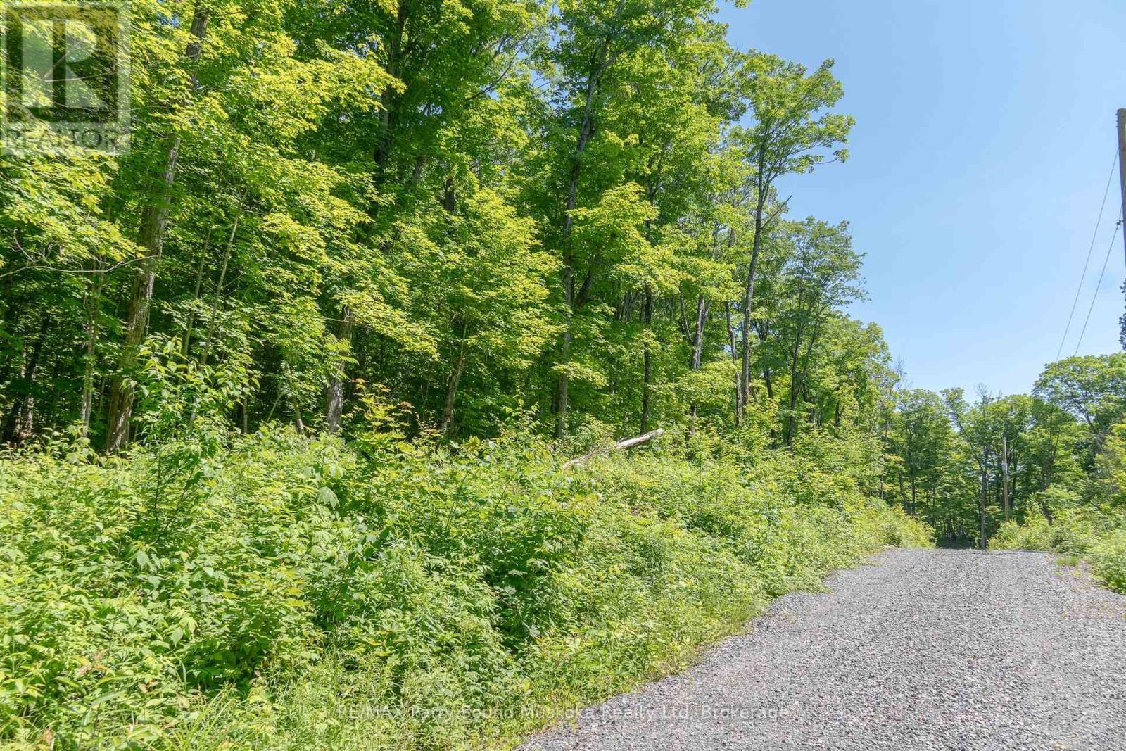 0 Floods Lane, Mckellar, Ontario  P0G 1C0 - Photo 21 - X12854976