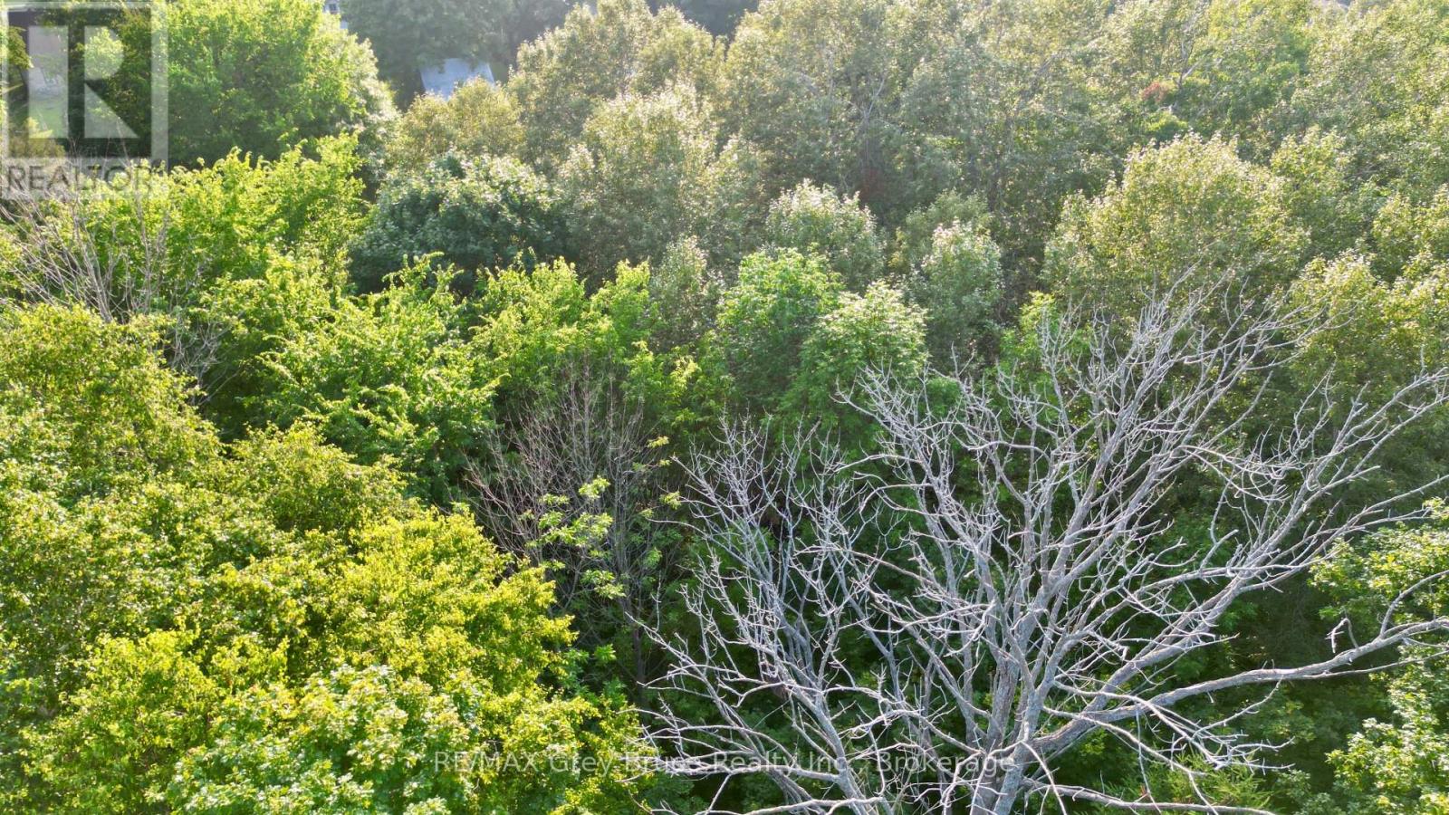 32 Helen Street, Northern Bruce Peninsula, Ontario  N0H 1W0 - Photo 13 - X12855176