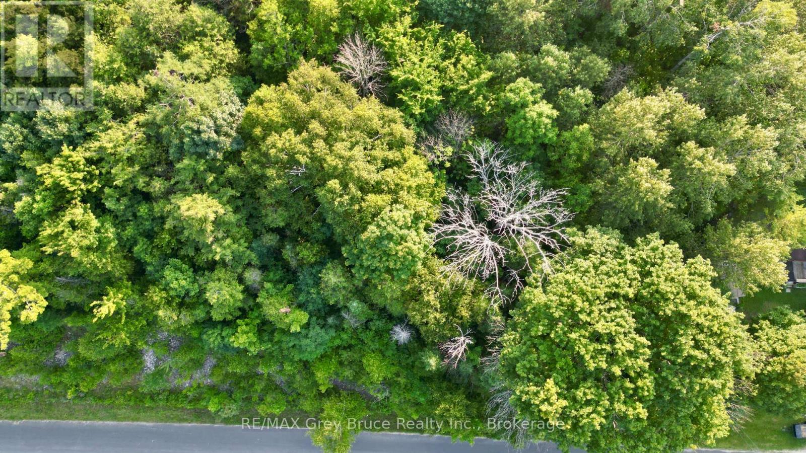 32 Helen Street, Northern Bruce Peninsula, Ontario  N0H 1W0 - Photo 14 - X12855176