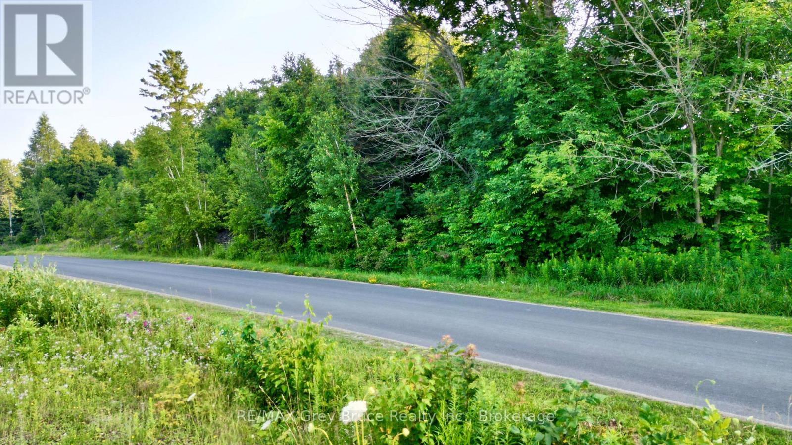 32 Helen Street, Northern Bruce Peninsula, Ontario  N0H 1W0 - Photo 3 - X12855176