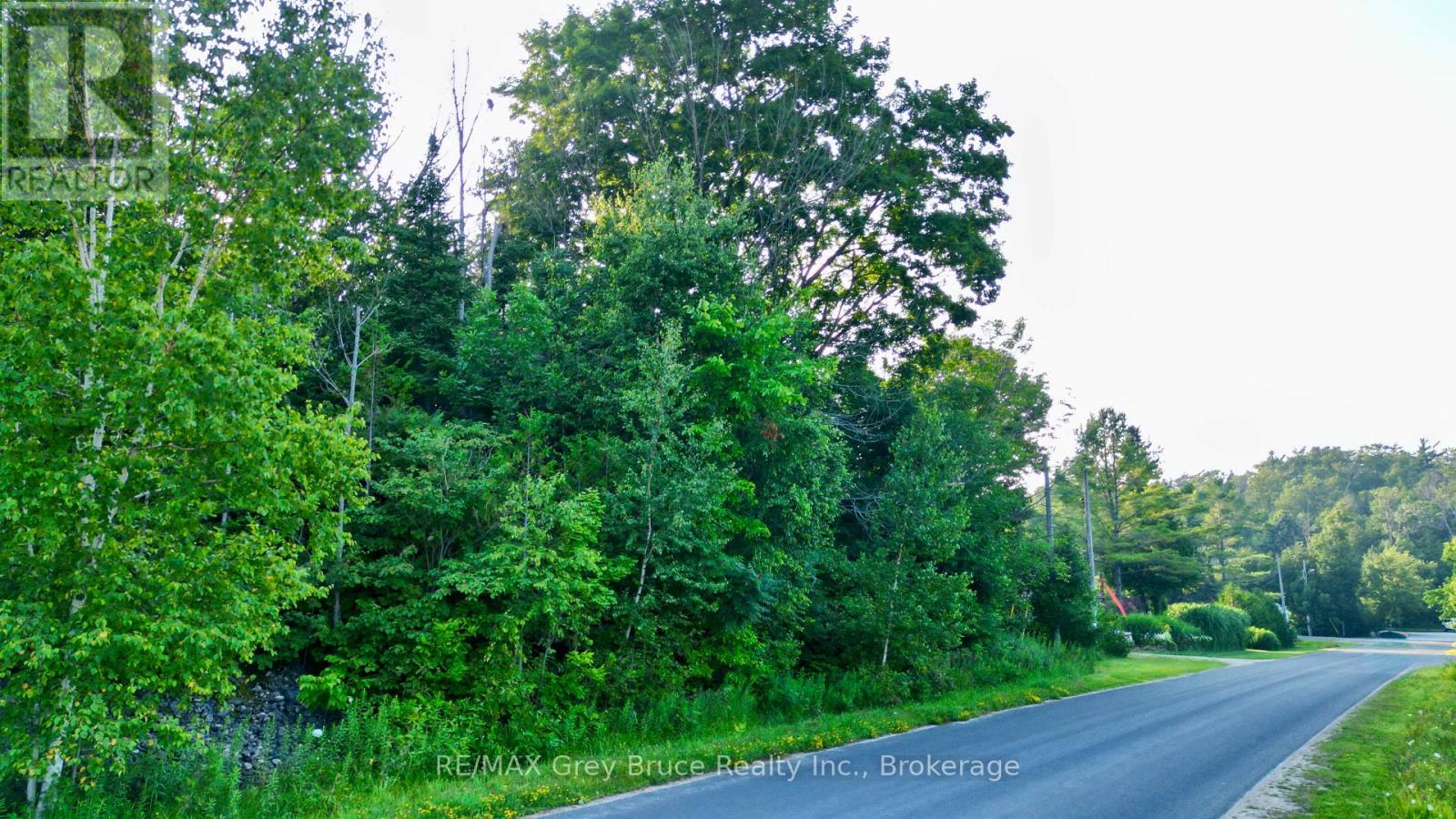 32 Helen Street, Northern Bruce Peninsula, Ontario  N0H 1W0 - Photo 4 - X12855176