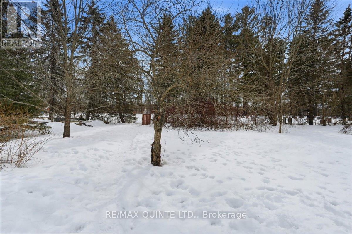 163 Main Street, Prince Edward County, Ontario  K0K 1G0 - Photo 34 - X12855046