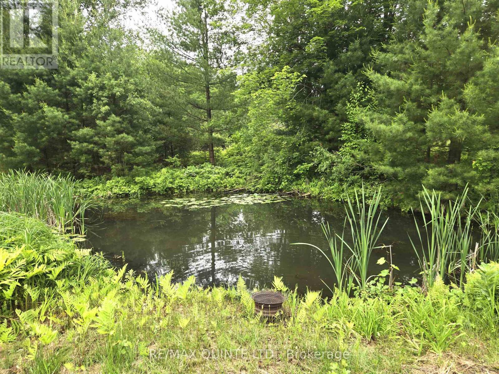 690 Potter Settlement Road, Tweed (Hungerford (Twp)), Ontario  K0K 3J0 - Photo 8 - X12855120