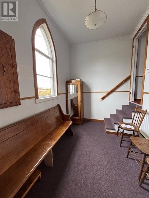 5 Brookfield Road, New Wes Valley, Newfoundland & Labrador  A9G 1J0 - Photo 12 - 1295035