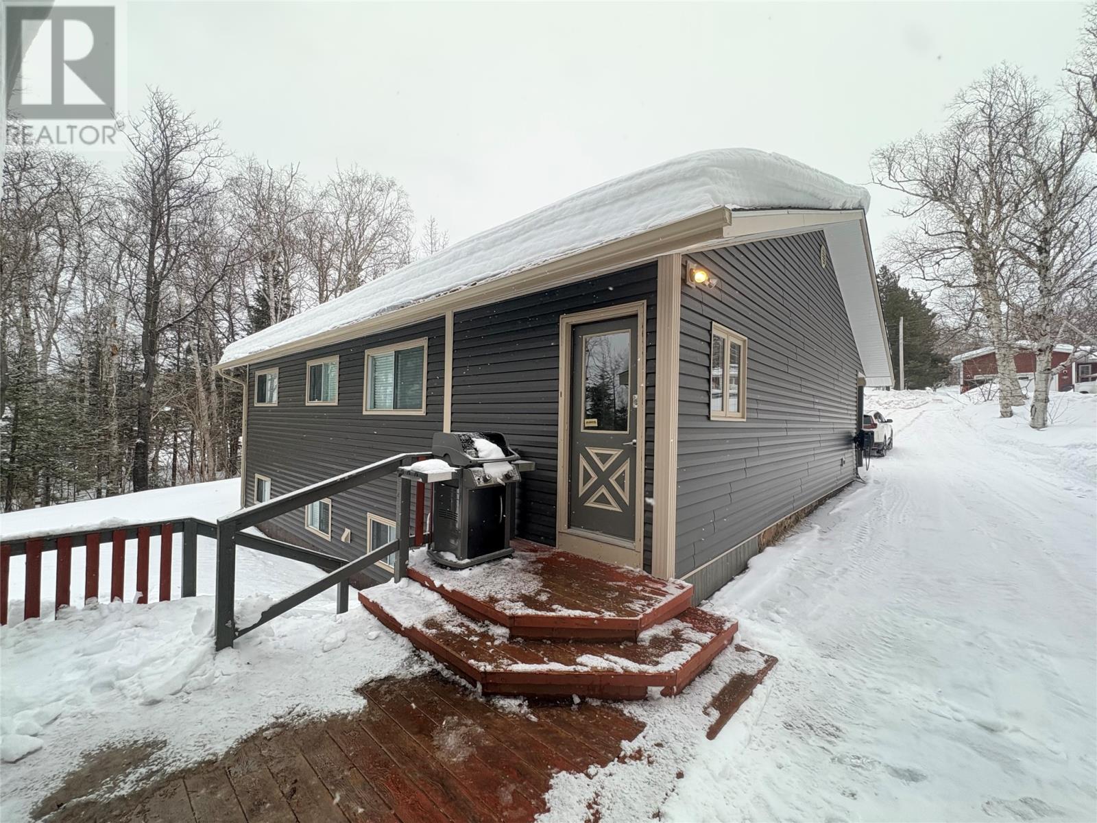 12 Chippys Lane, Appleton, Newfoundland & Labrador  A0G 2K0 - Photo 3 - 1294740