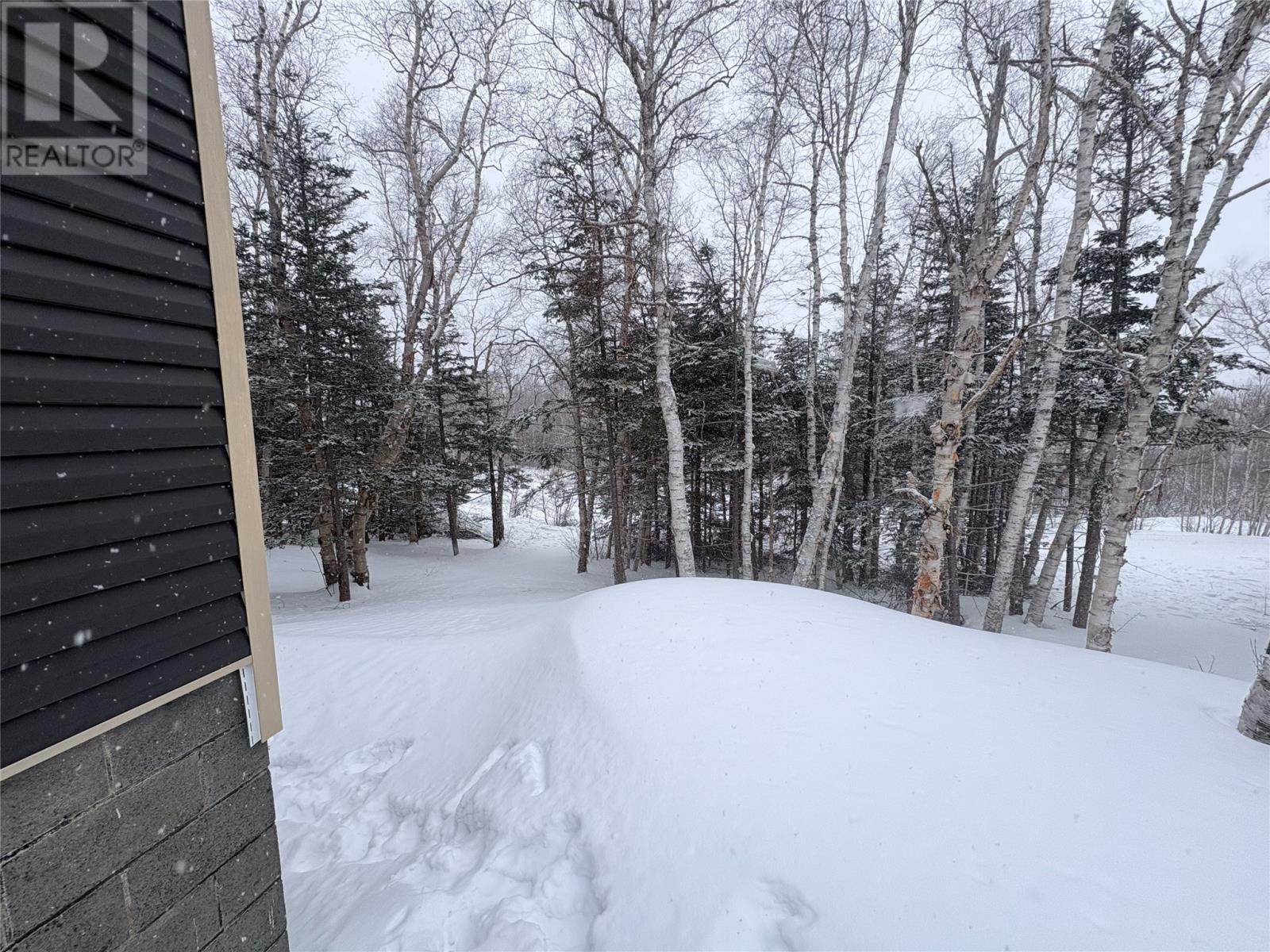 12 Chippys Lane, Appleton, Newfoundland & Labrador  A0G 2K0 - Photo 6 - 1294740