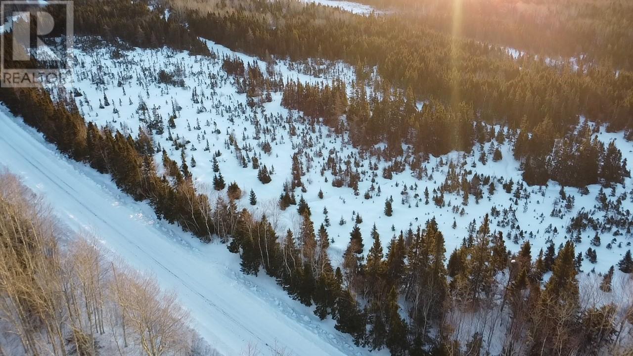 110 Sandy Point Road, Norris Arm, Newfoundland & Labrador  A0G 3M0 - Photo 2 - 1295034