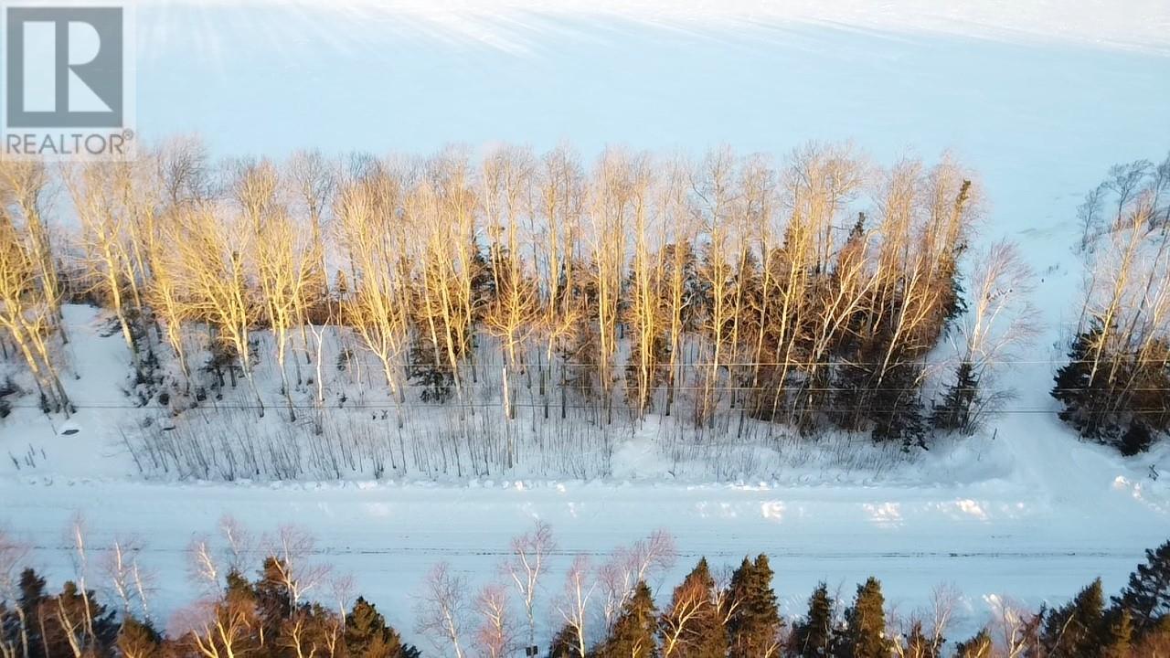 110 Sandy Point Road, Norris Arm, Newfoundland & Labrador  A0G 3M0 - Photo 3 - 1295034