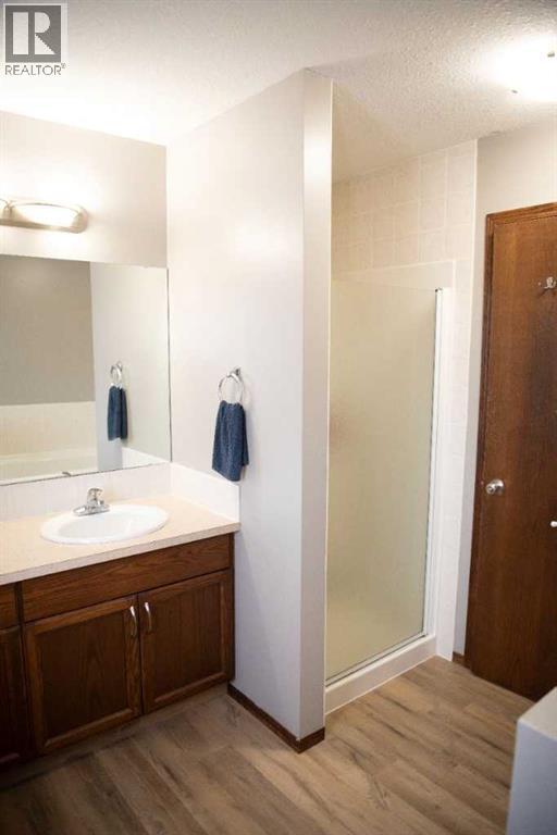 283 Highland Circle, Strathmore, Alberta  T1P 1V5 - Photo 11 - A2278908