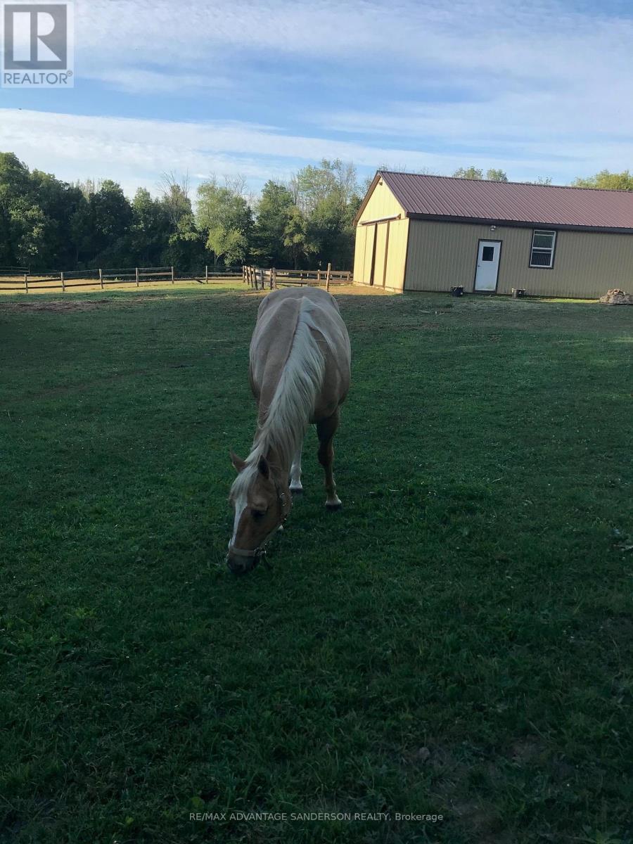 8201 Observatory Drive, Lucan Biddulph, Ontario  N0M 1V0 - Photo 25 - X12855326