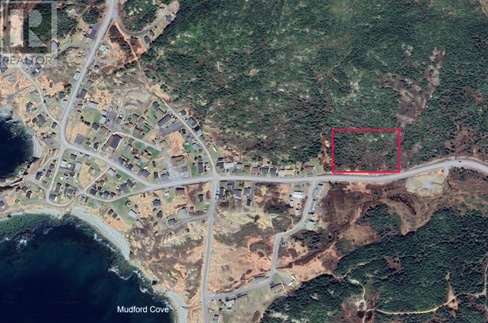 30-40 Main Street, Twillingate, Newfoundland & Labrador  A0G 4M0 - Photo 4 - 1295030