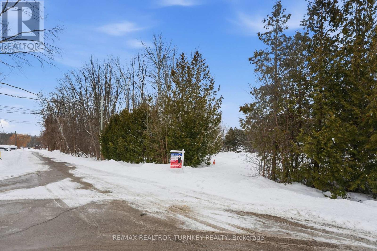 N/a Sina Street, Georgina, Ontario  L0E 1S0 - Photo 13 - N12855256