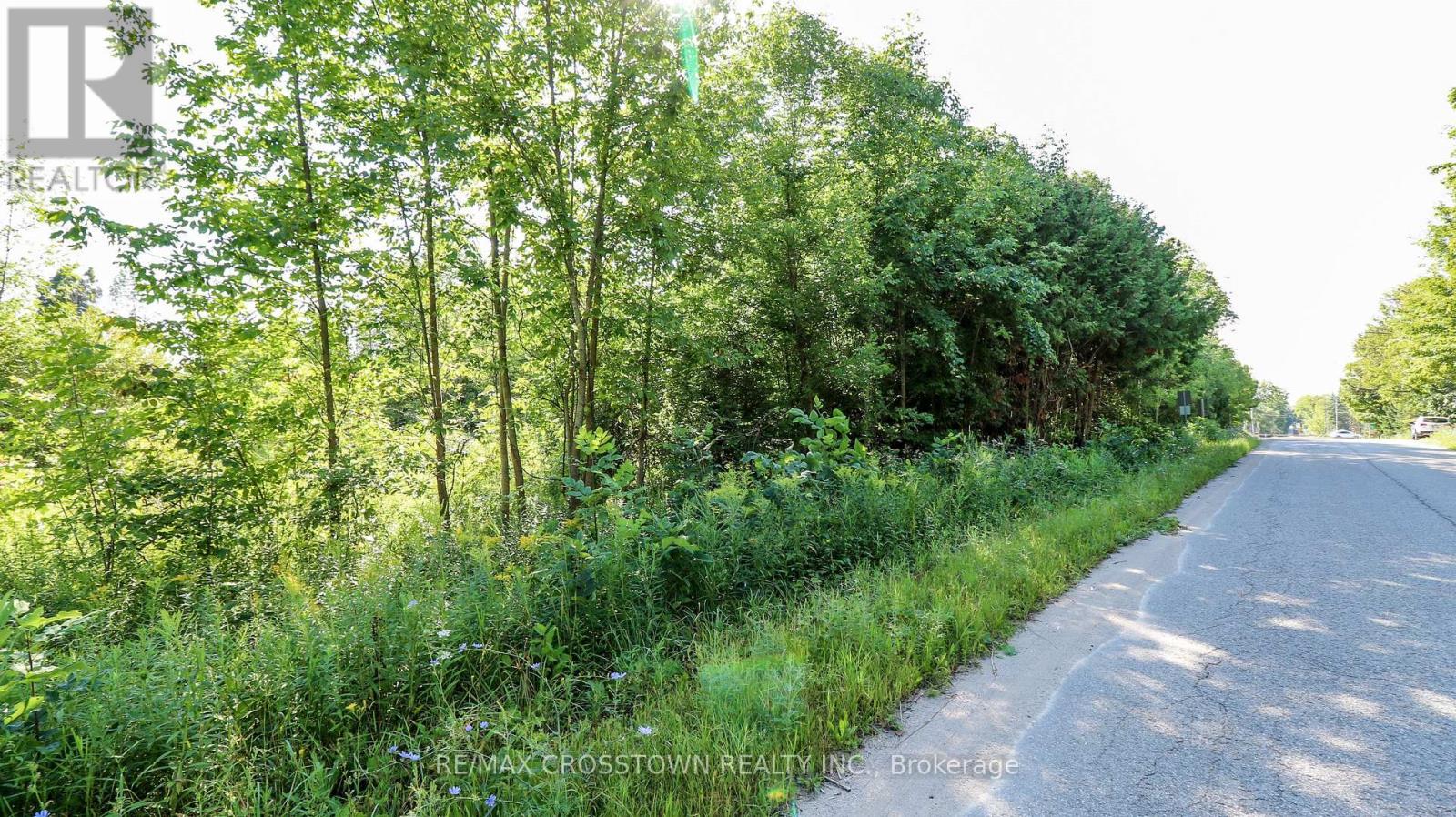 Pt Lt 20 Concession 7 Road, Oro-Medonte, Ontario  L0L 2L0 - Photo 4 - S12855250