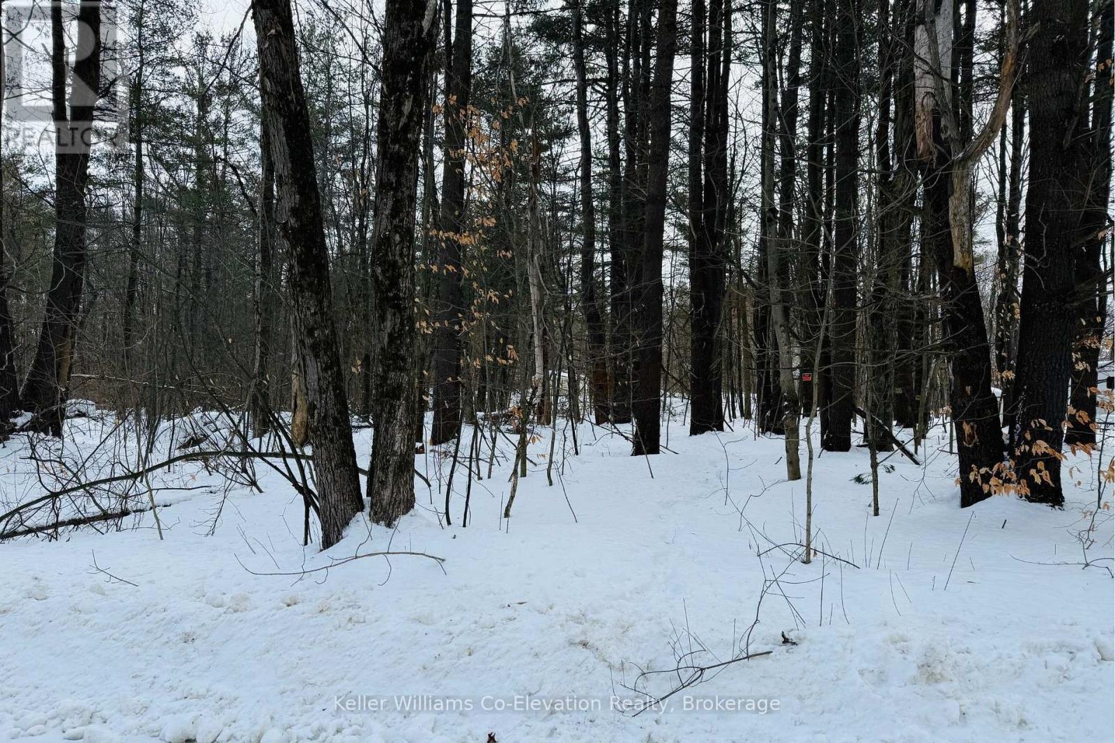 Lt Pt 3 Whites Road, Muskoka Lakes, Ontario  P0B 1J0 - Photo 7 - X12710132