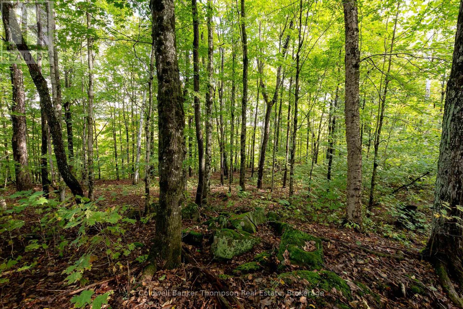 N/a Skyline Drive, Armour, Ontario  P0A 1C0 - Photo 15 - X12855414