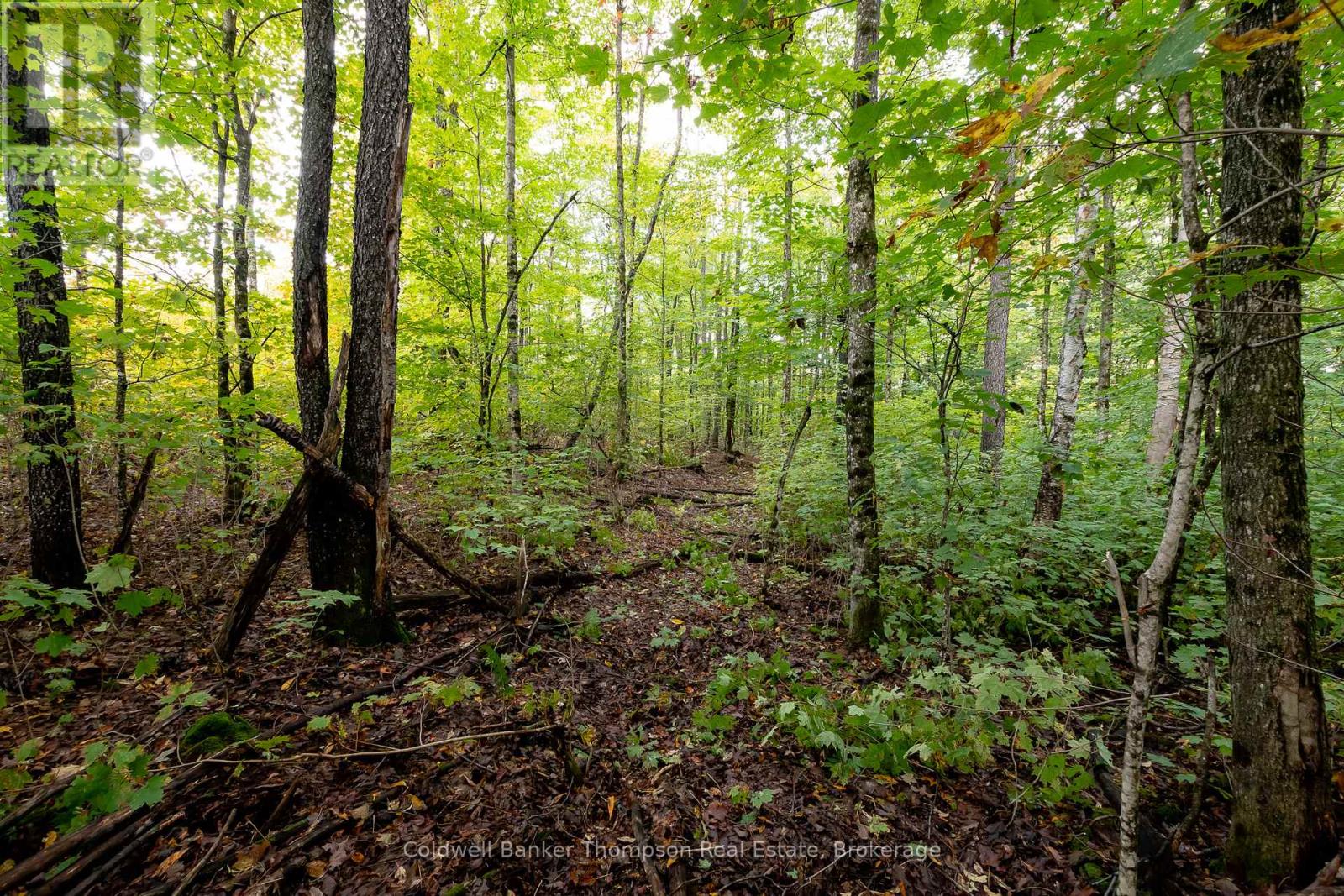N/a Skyline Drive, Armour, Ontario  P0A 1C0 - Photo 16 - X12855414