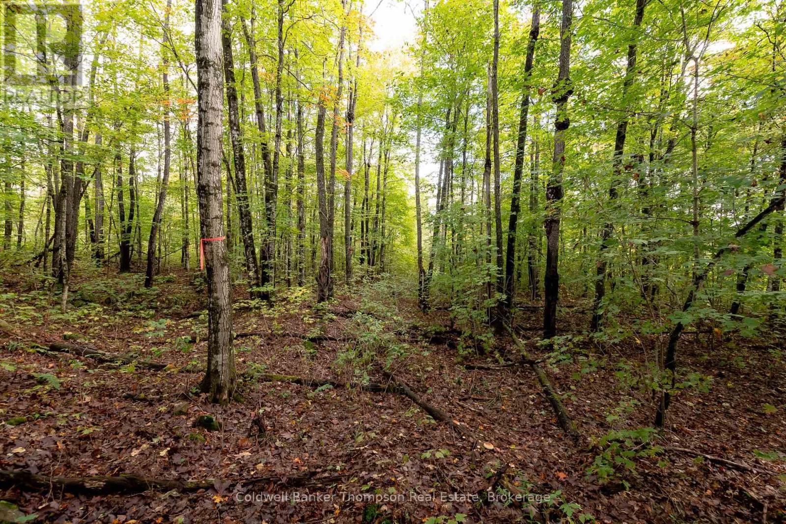 N/a Skyline Drive, Armour, Ontario  P0A 1C0 - Photo 17 - X12855414