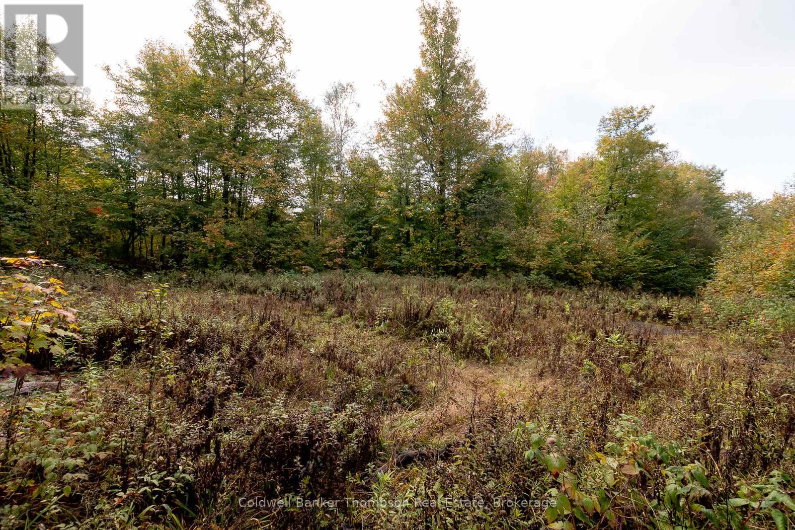 N/a Skyline Drive, Armour, Ontario  P0A 1C0 - Photo 19 - X12855414