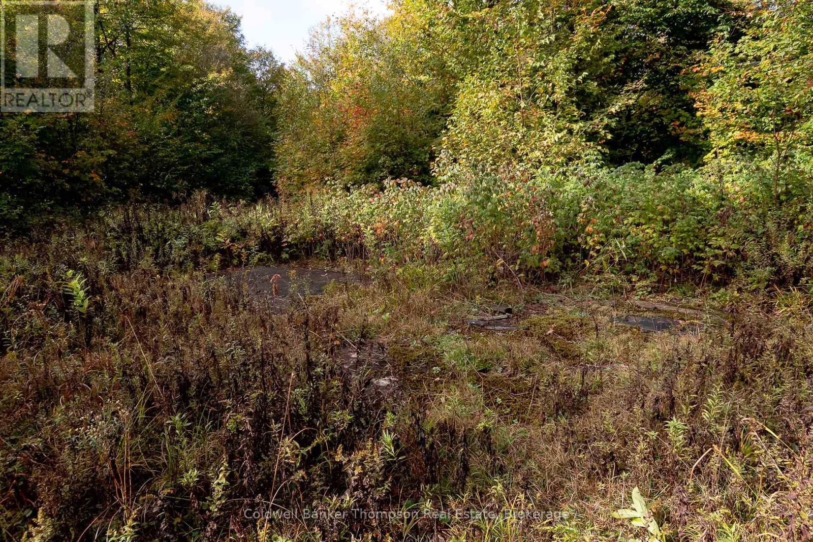 N/a Skyline Drive, Armour, Ontario  P0A 1C0 - Photo 20 - X12855414