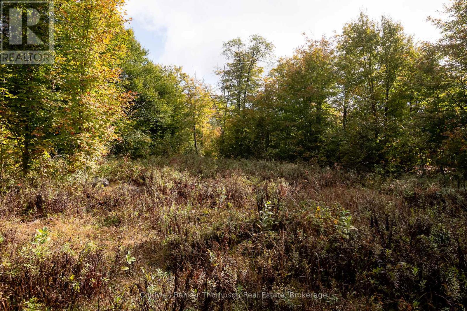 N/a Skyline Drive, Armour, Ontario  P0A 1C0 - Photo 21 - X12855414
