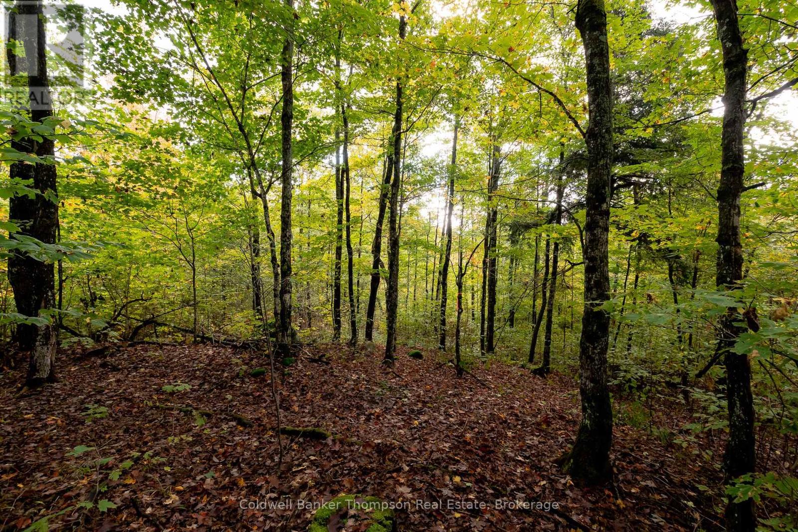 N/a Skyline Drive, Armour, Ontario  P0A 1C0 - Photo 22 - X12855414