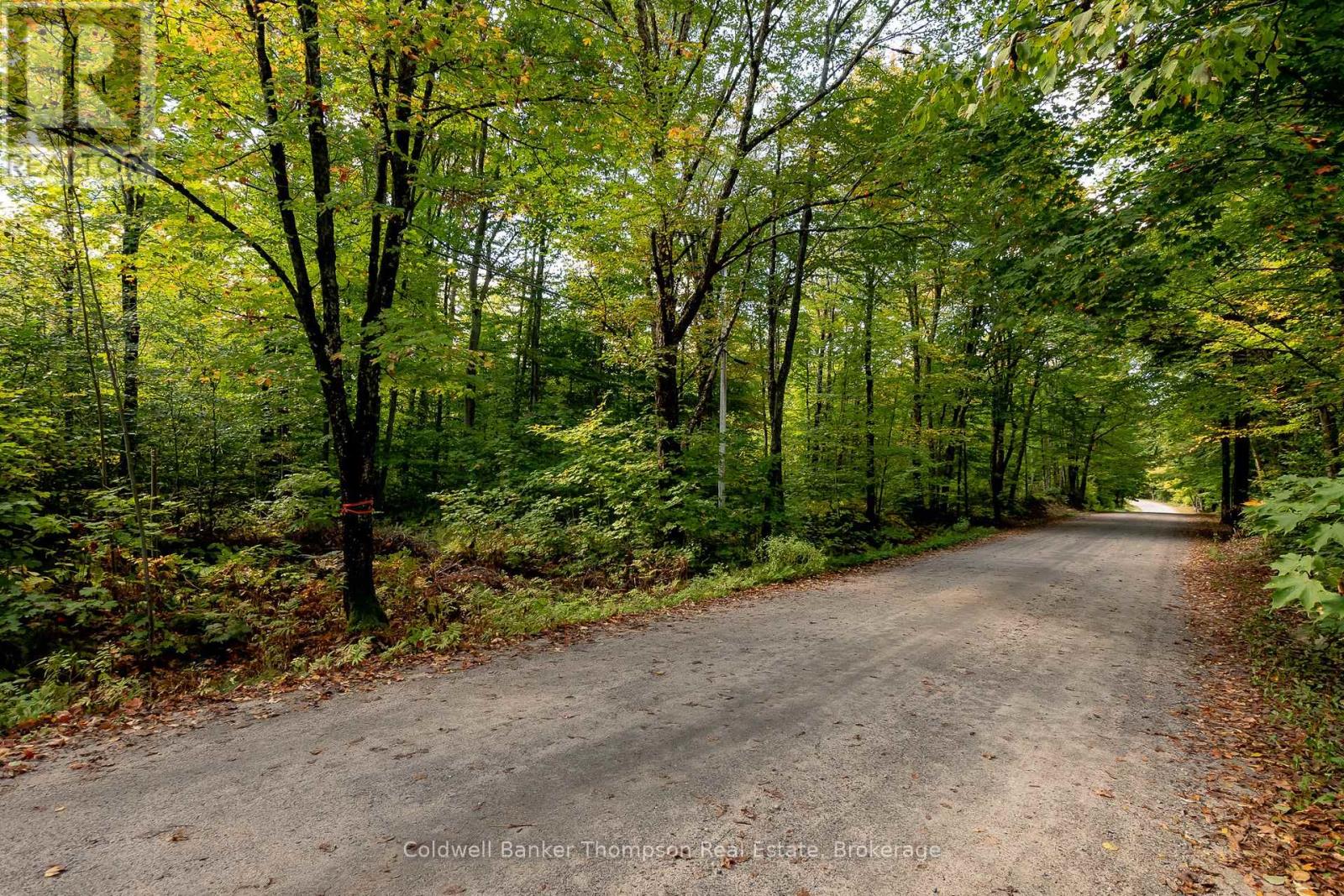 N/a Skyline Drive, Armour, Ontario  P0A 1C0 - Photo 7 - X12855414