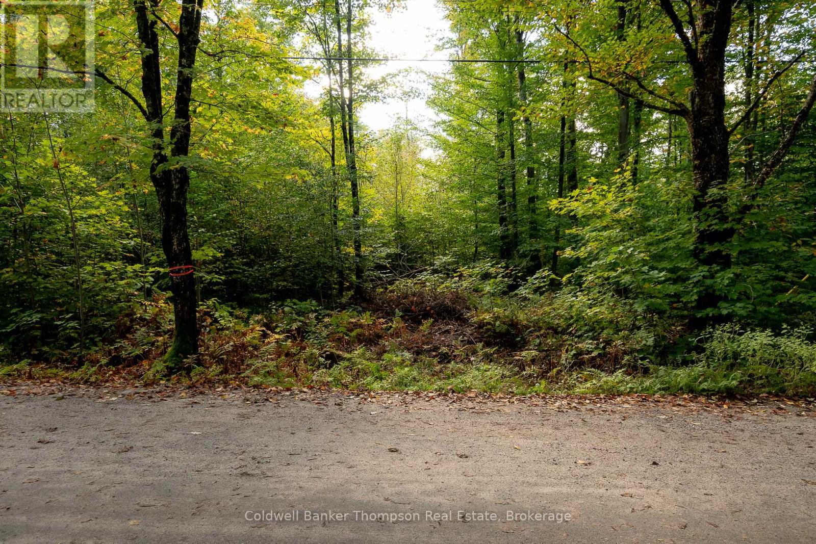 N/a Skyline Drive, Armour, Ontario  P0A 1C0 - Photo 9 - X12855414