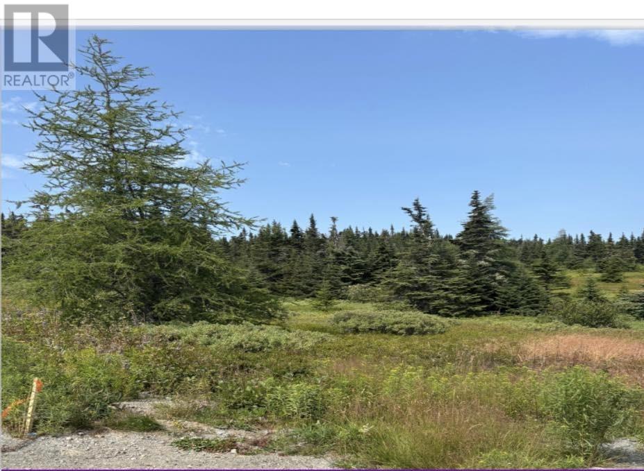 17 Batsons Road, Port Rexton, Newfoundland & Labrador  A0C 2H0 - Photo 2 - 1294976