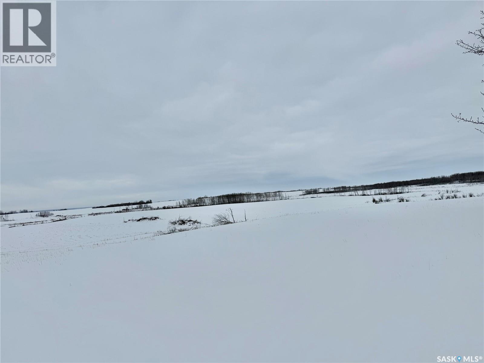 Ne 02-50-10-W3 - Hay/pasture Land, Spiritwood Rm No. 496, Saskatchewan  S0J 2M0 - Photo 11 - SK029872