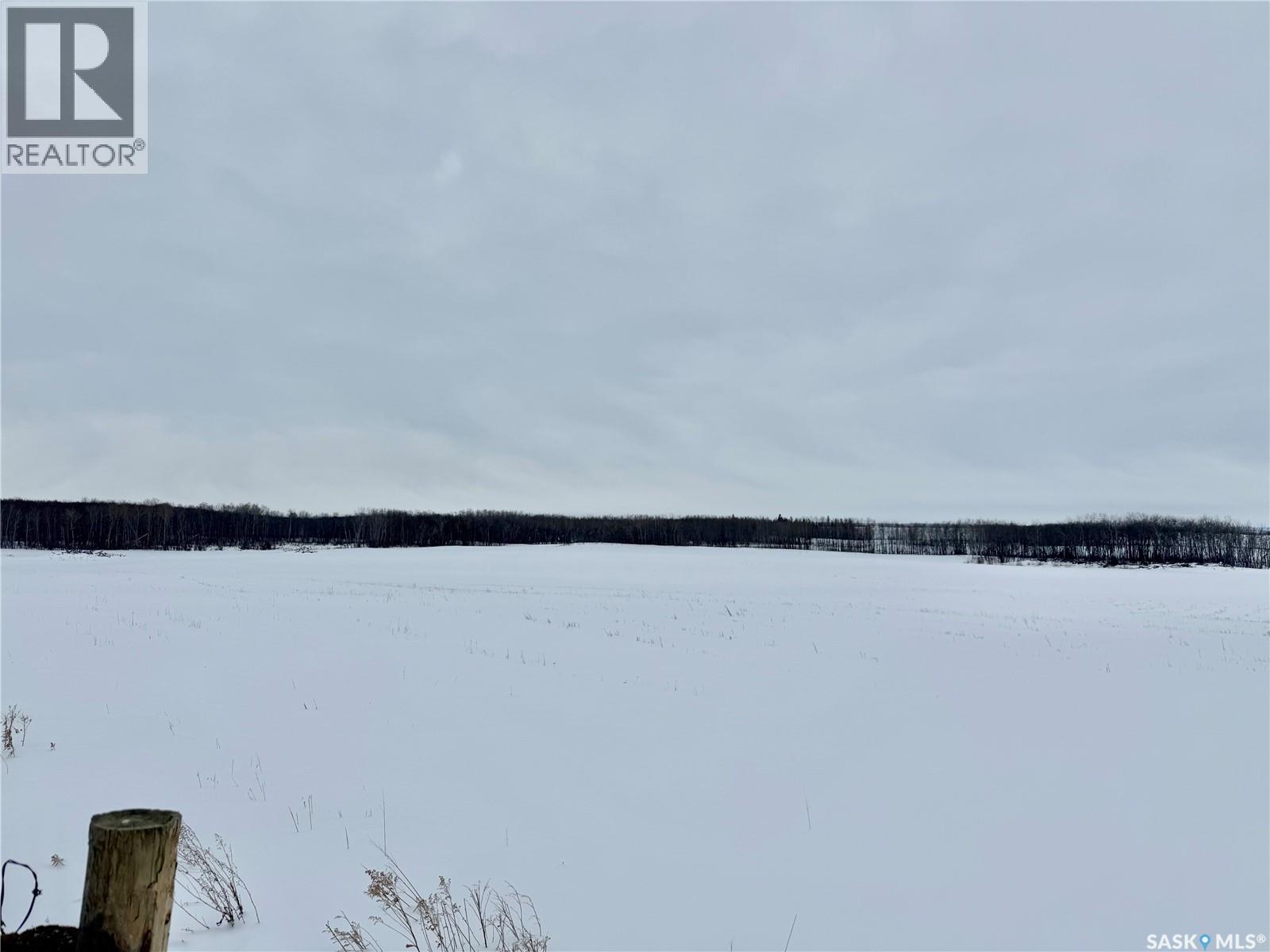 Ne 02-50-10-W3 - Hay/pasture Land, Spiritwood Rm No. 496, Saskatchewan  S0J 2M0 - Photo 12 - SK029872
