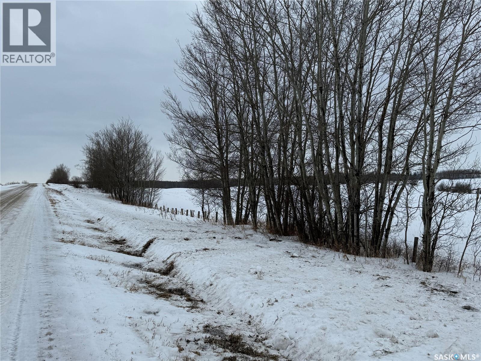 Ne 02-50-10-W3 - Hay/pasture Land, Spiritwood Rm No. 496, Saskatchewan  S0J 2M0 - Photo 5 - SK029872