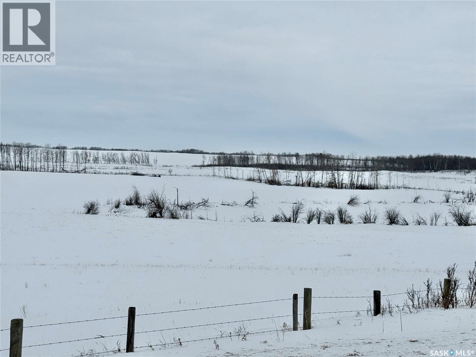 Ne 02-50-10-W3 - Hay/pasture Land, Spiritwood Rm No. 496, Saskatchewan  S0J 2M0 - Photo 6 - SK029872