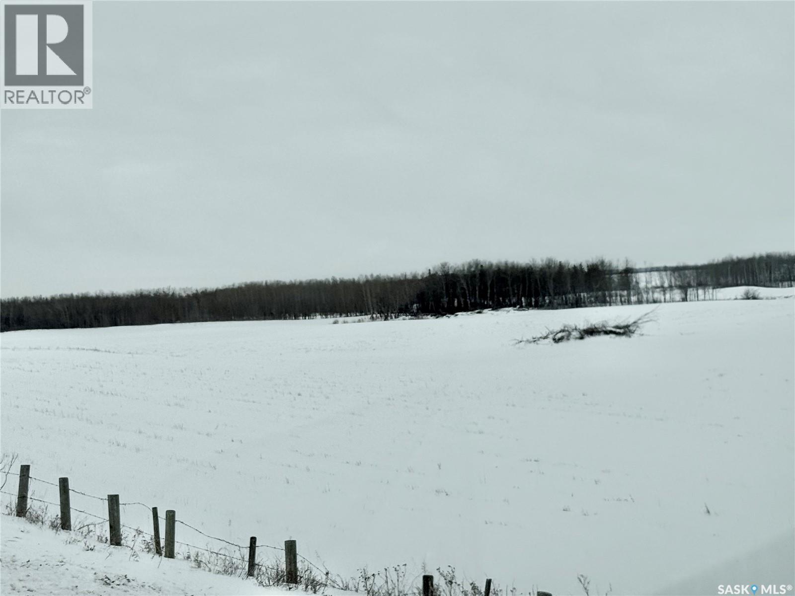 Ne 02-50-10-W3 - Hay/pasture Land, Spiritwood Rm No. 496, Saskatchewan  S0J 2M0 - Photo 7 - SK029872